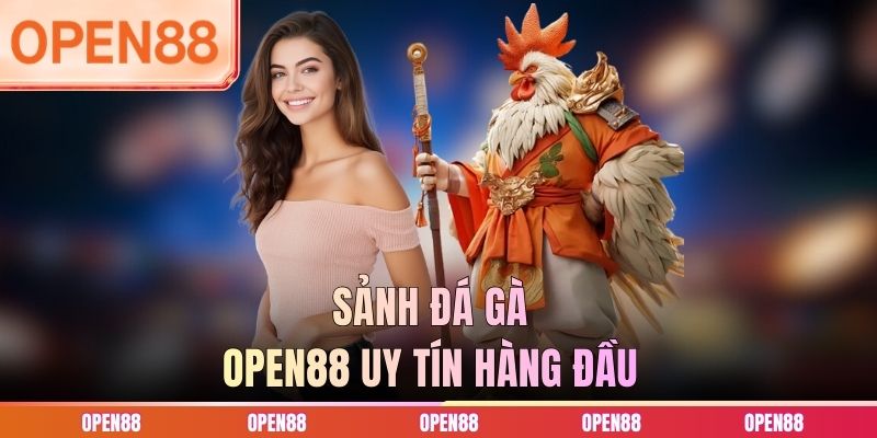 Sảnh đá gà OPEN88 uy tín hàng đầu
